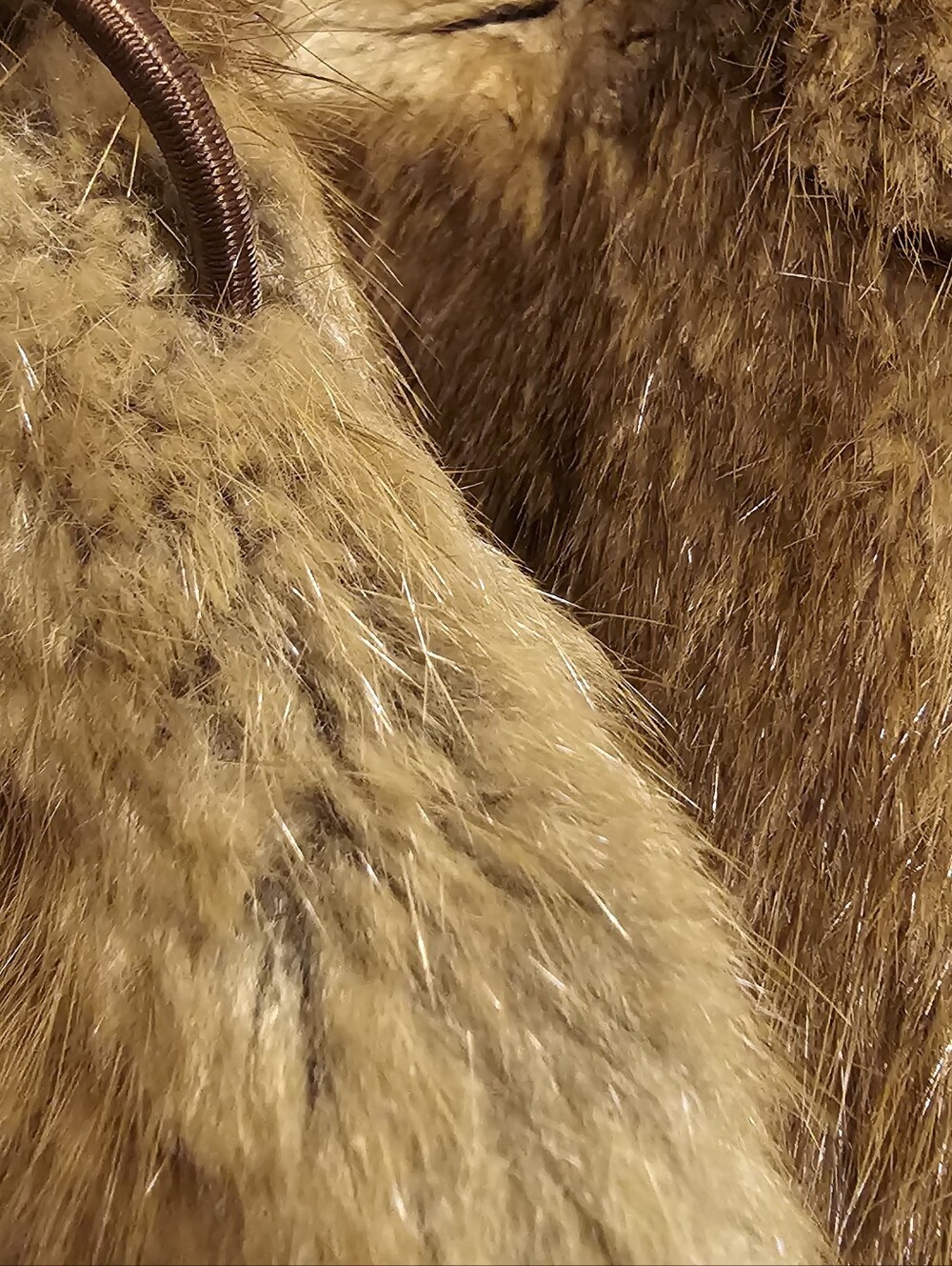 Women's Brown Fur Button-Front Coat - Picture 6 of 13